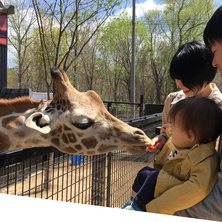 様々な動物たちとふれあえる大人気スポット！　ノースサファリサッポロ