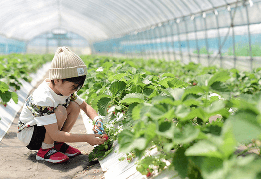 奥定山渓カムイの森（定山渓ファーム）