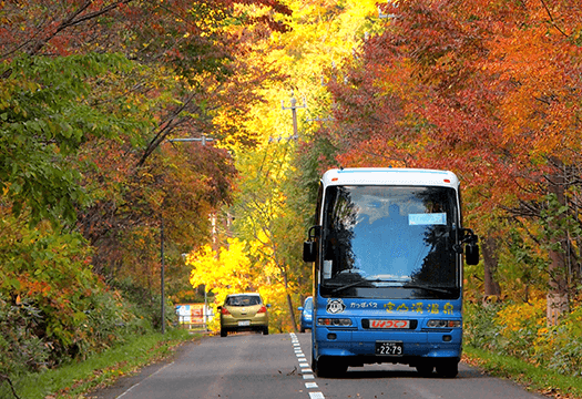 紅葉かっぱバス