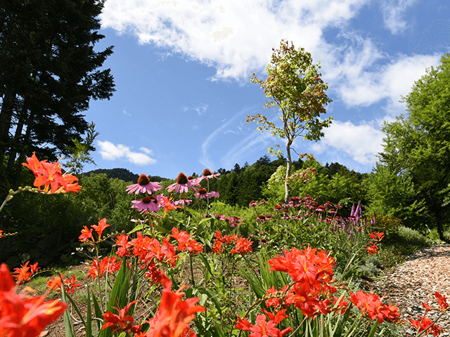 奥定山渓カムイの森（定山渓ファーム）