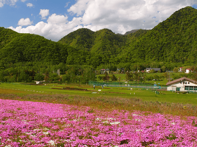 三笠山