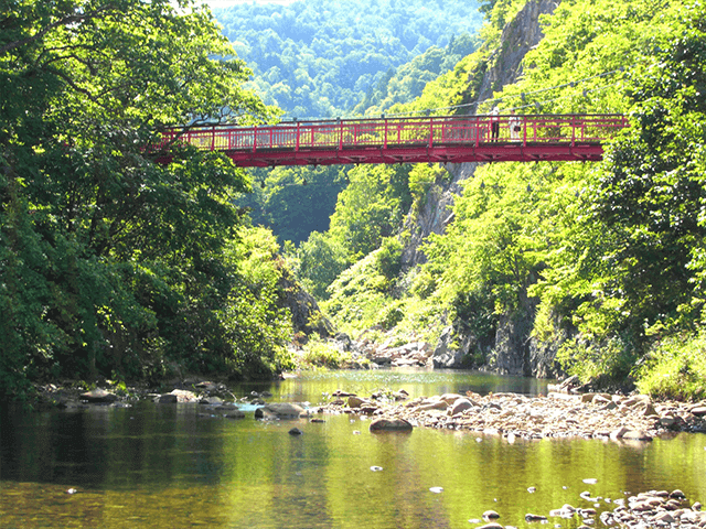 二見定山の道