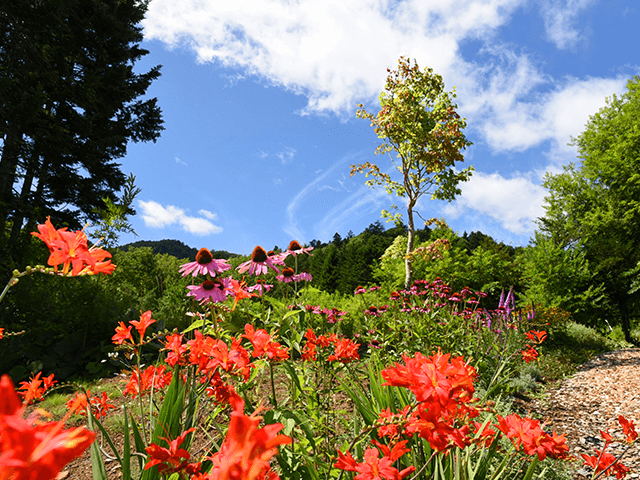 奥定山渓カムイの森（定山渓ファーム）