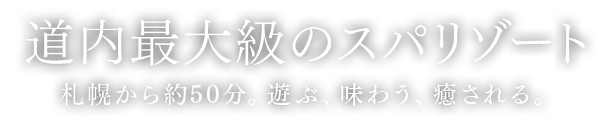 定山渓ビューホテル（公式HP）公式サイトが一番お得。家族旅行に最適な巨大スパリゾート。札幌から車で約50分。プールや温泉、ビュッフェを堪能。